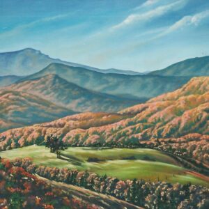 Landscapes
