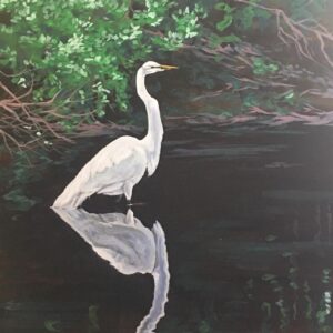 Wildlife