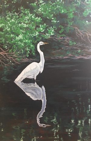 Wildlife