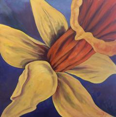 Jonquil