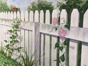 Morning Glory and Cardinal