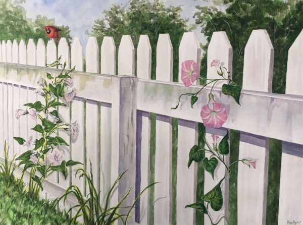 Morning Glory and Cardinal