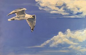 Summer Glider - Ring Bill Gull