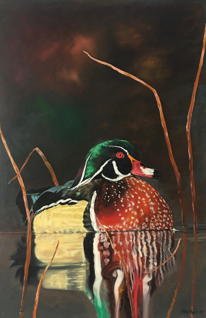 Wood Duck