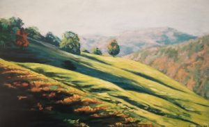 Mountain Shadows