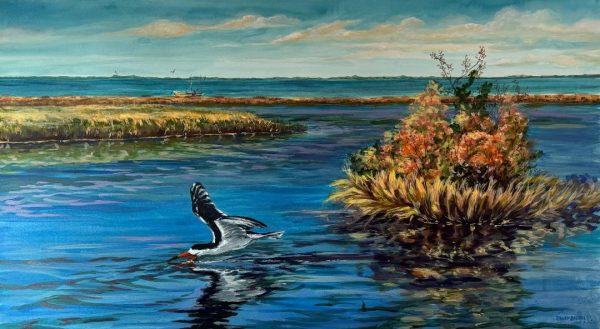 "Black Skimmer"
